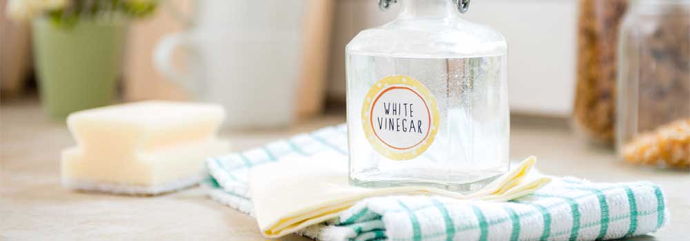 White-Vinegar