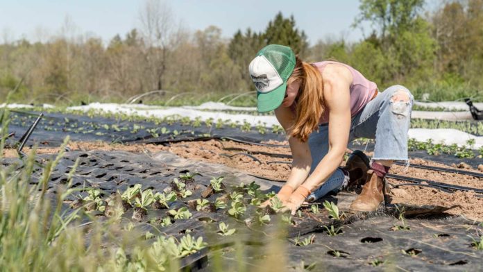 Some-Grand-Activities-in-Labor-Day-in-Your-Garden-on-toplineblog