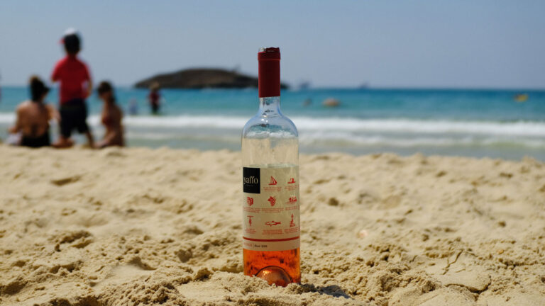 Top Five Red Wines Tips for the Summer Season