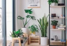 Shop-for-the-Best-Modern-Indoor-Plant-Stands-on-toplineblog