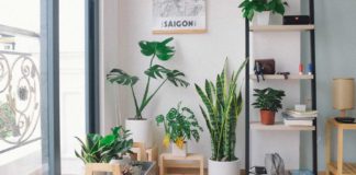 Shop-for-the-Best-Modern-Indoor-Plant-Stands-on-toplineblog