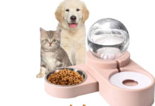Know-About-the-Automatic-Pet-Feeder-on-toplineblog