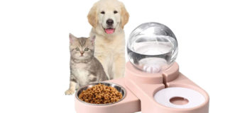 Know-About-the-Automatic-Pet-Feeder-on-toplineblog