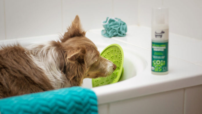 Flea-&-Tick-Shampoo-for-Dogs-The-Best-Way-to-Remove-Fleas-and-Ticks-Safely-on-toplineblog